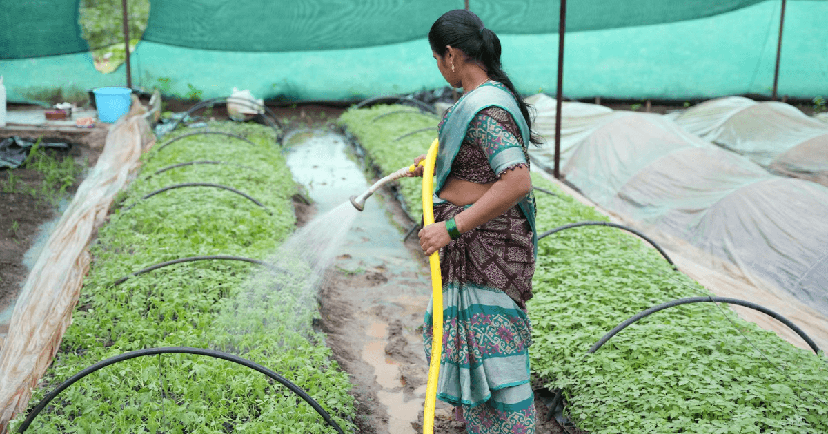 Eco-Warriors at Home: India's Growing Obsession with Zero-Waste Living